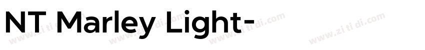 NT Marley Light字体转换